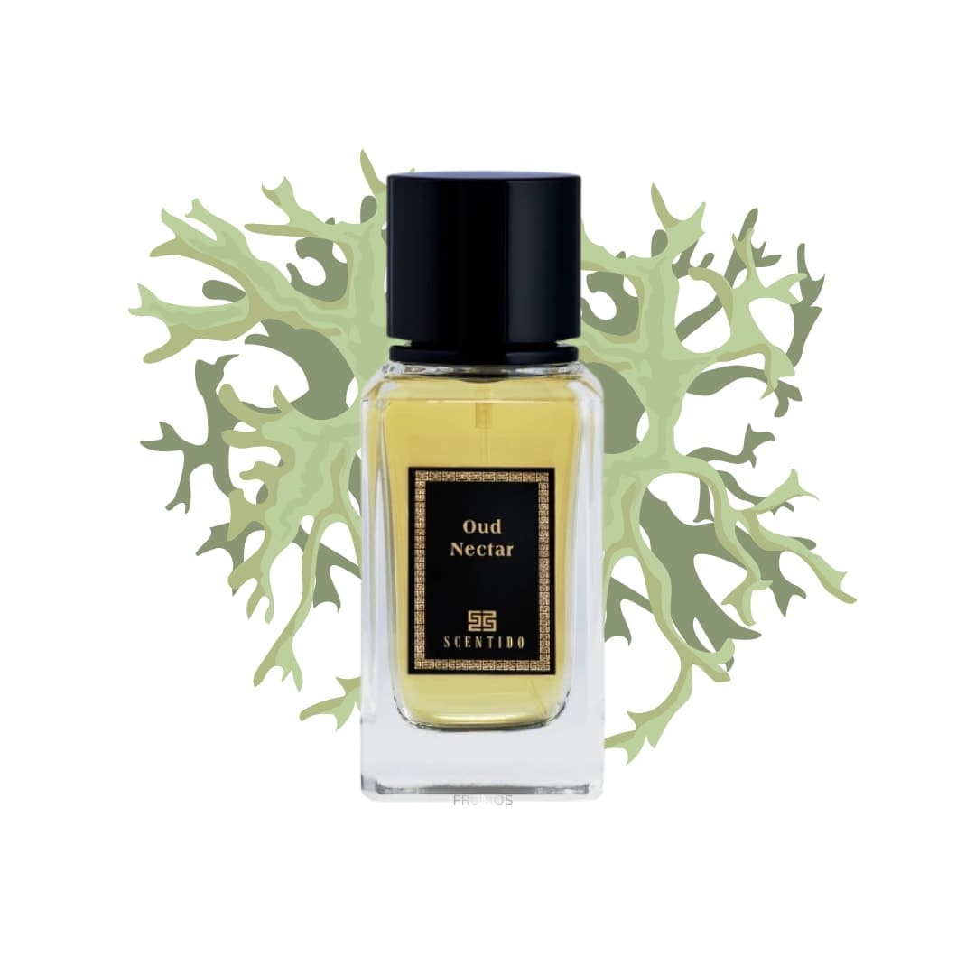 Oud Nectar primary image
